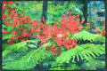 Wild Flowers Plants 013158 Red Tropical Flowers A4 Limited Edition Watercolour Print