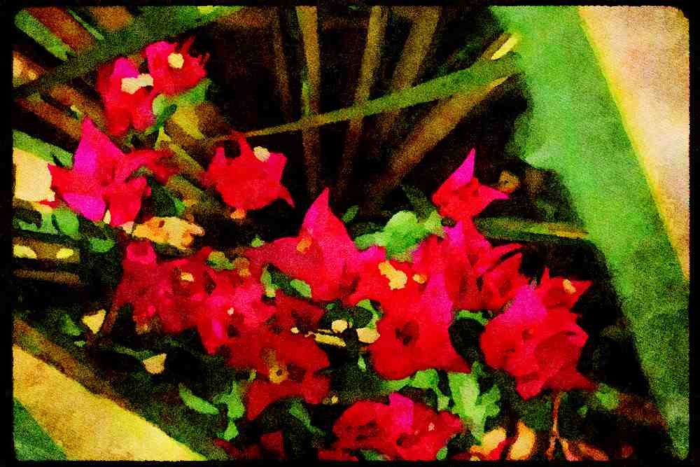 Wild Flowers Plants 013166 Dark Pink Flowers A4 Limited Edition Watercolour Print