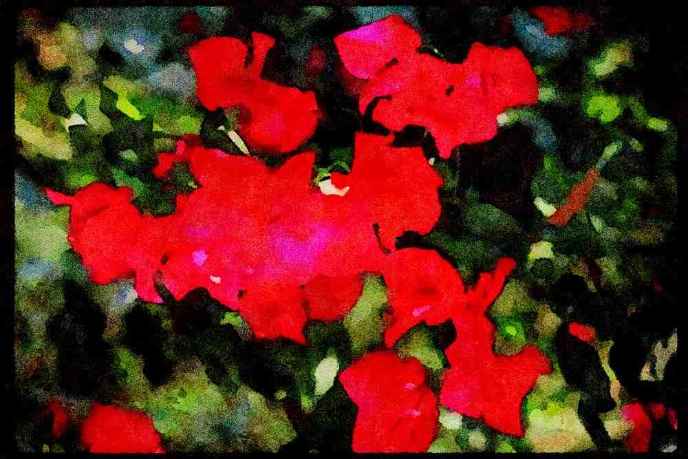 Wild Flowers Plants 013168 Reddish Pink Flowers A4 Limited Edition Watercolour Print