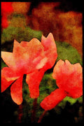 Wild Flowers Plants 013171 Pink Upside Down Flowers A4 Limited Edition Watercolour Print
