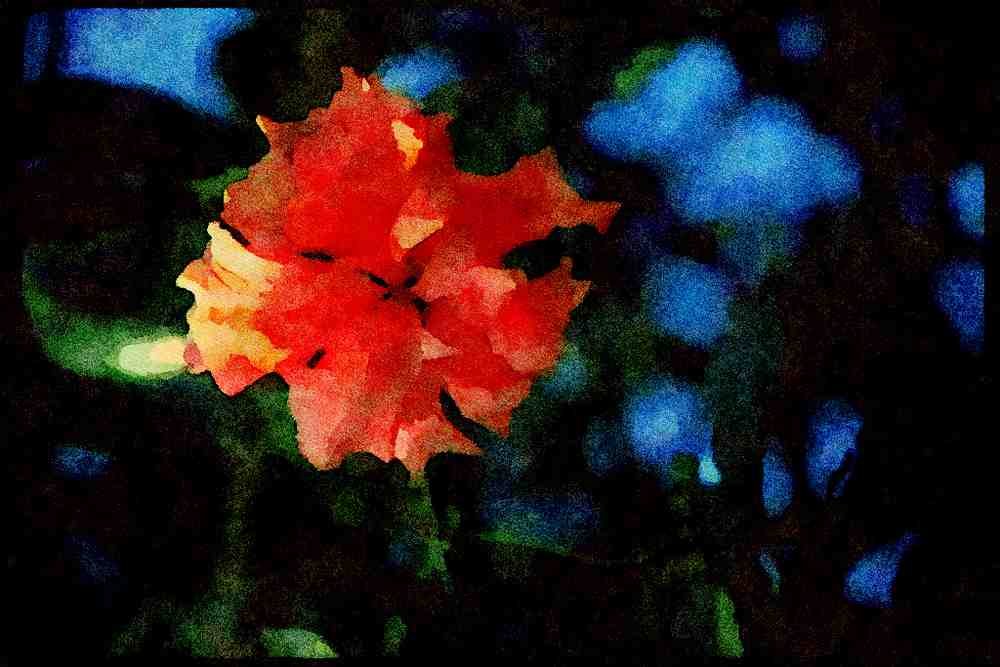 Wild Flowers Plants 013172 Pink Cluster Flower A4 Limited Edition Watercolour Print