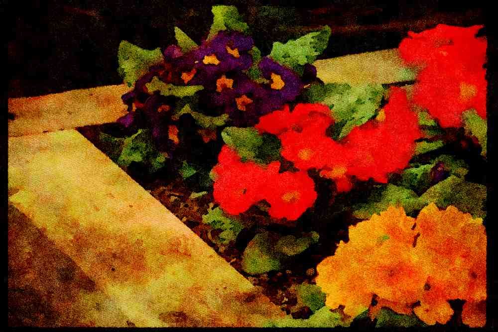 Wild Flowers Plants 013195 Primroses A4 Limited Edition Watercolour Print