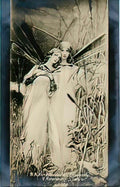 Wilhelm Kotarbinski dragonflies Art A4 Photo Print