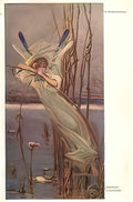 Wilhelm Kotarbinski dragonfly Art A4 Photo Print