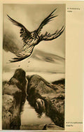 Wilhelm Kotarbinski fighting Art A4 Photo Print