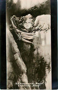 Wilhelm Kotarbinski gorgon Art A4 Photo Print