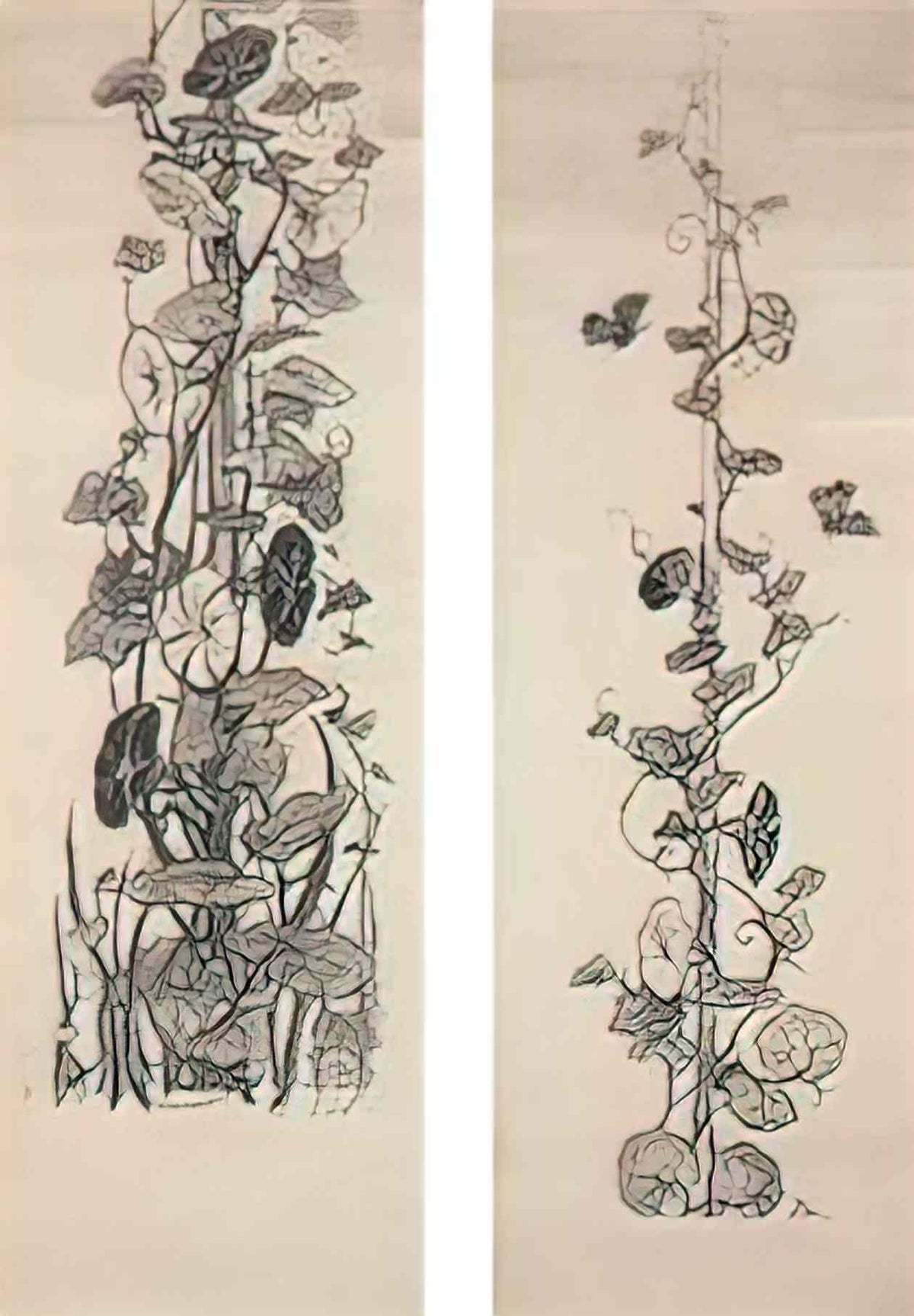 Wilhelm Kotarbinski moth and convolvulus thumbnail panels Art A4 Photo Print