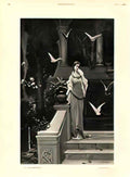 Wilhelm Kotarbinski pigeons Art A4 Photo Print