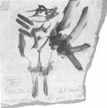 Willem de Kooning female nude Art A4 Photo Print