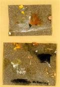 Willem de Kooning untitled + another, 2works Art A4 Photo Print