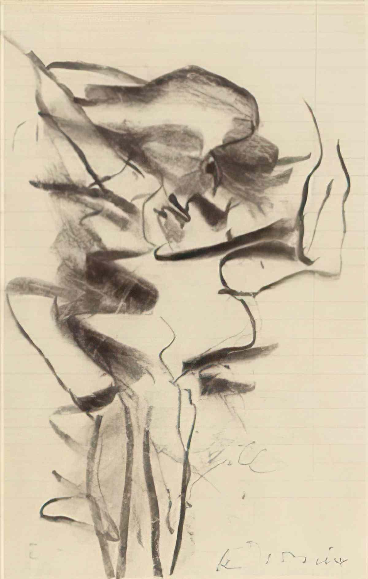 Willem de Kooning untitled woman19 Art A4 Photo Print