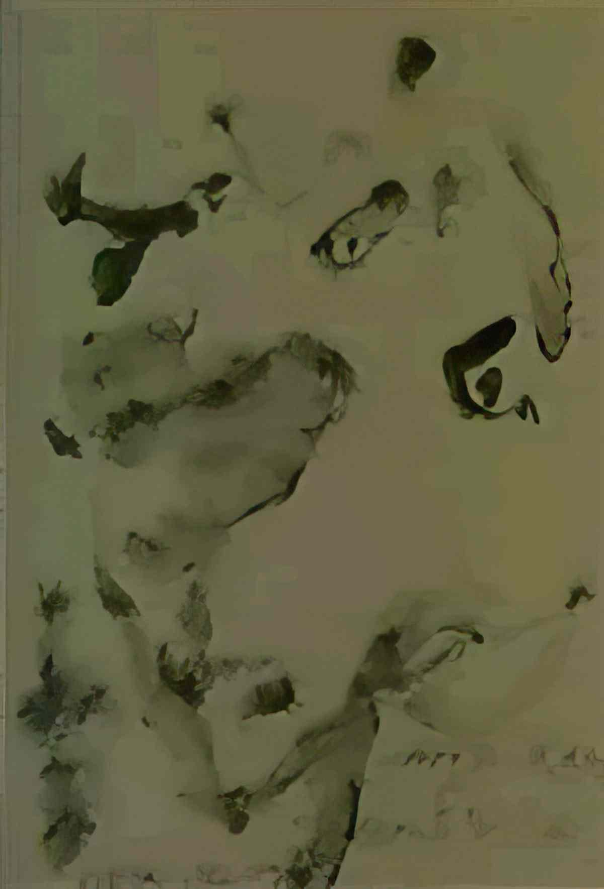 Willem de Kooning untitled12 Art A4 Photo Print