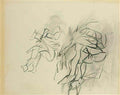 Willem de Kooning untitled130 2 Art A4 Photo Print