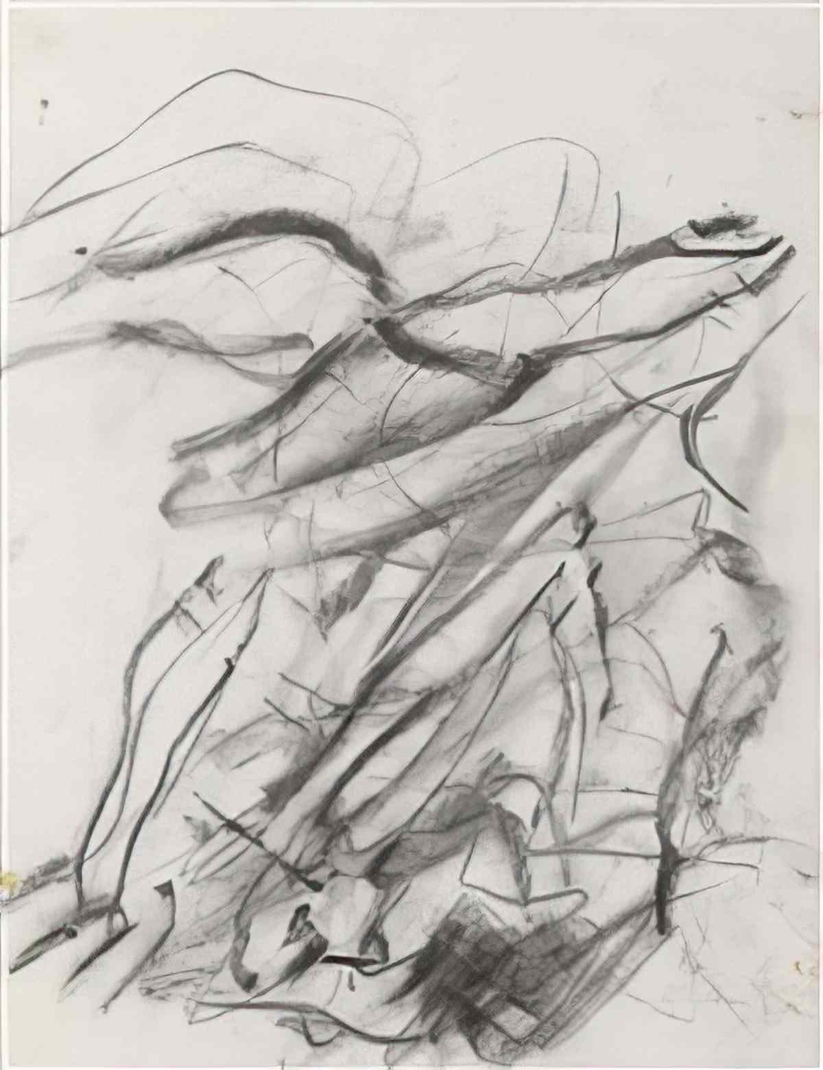 Willem de Kooning untitled143 Art A4 Photo Print