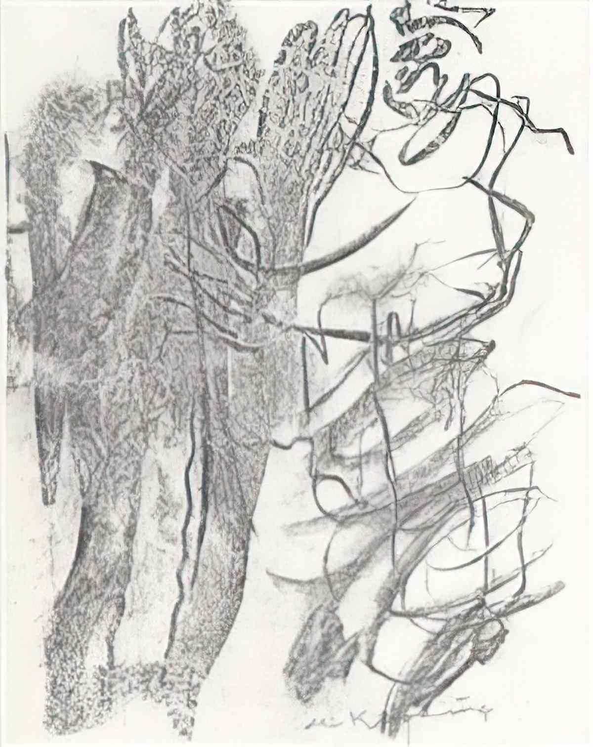Willem de Kooning untitled1922 Art A4 Photo Print