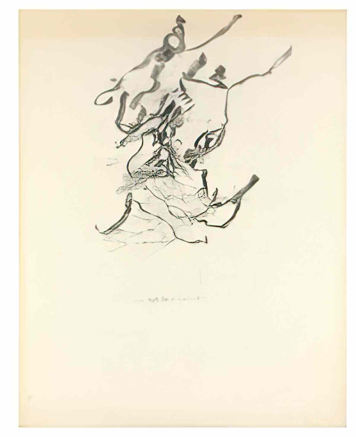 Willem de Kooning untitled26 2 Art A4 Photo Print