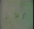 Willem de Kooning untitled288 2 Art A4 Photo Print