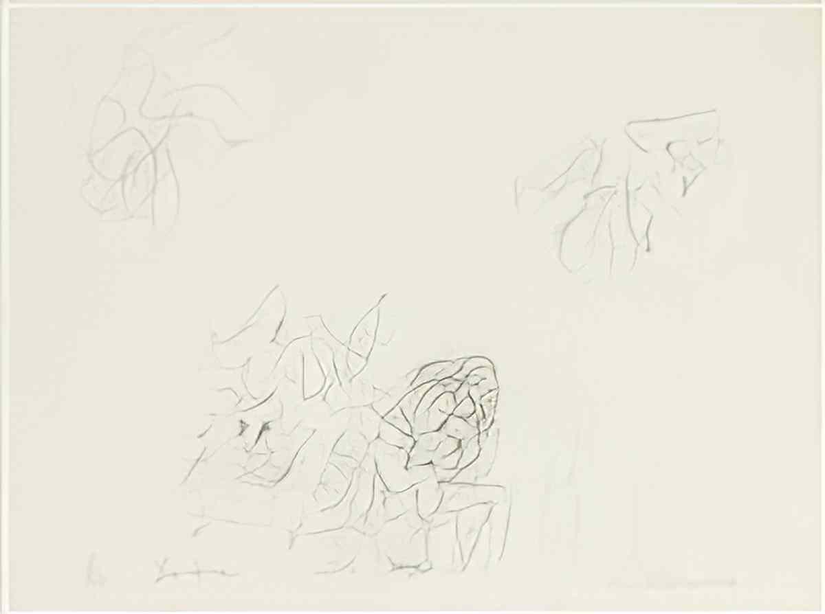 Willem de Kooning woman16 2 Art A4 Photo Print