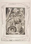 William Blake Behemoth And Leviathan From The Book Of Job 2
