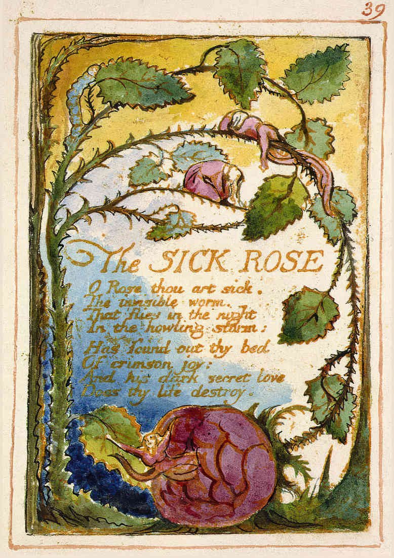 William Blake The Sick Rose From Songs Of Innocence