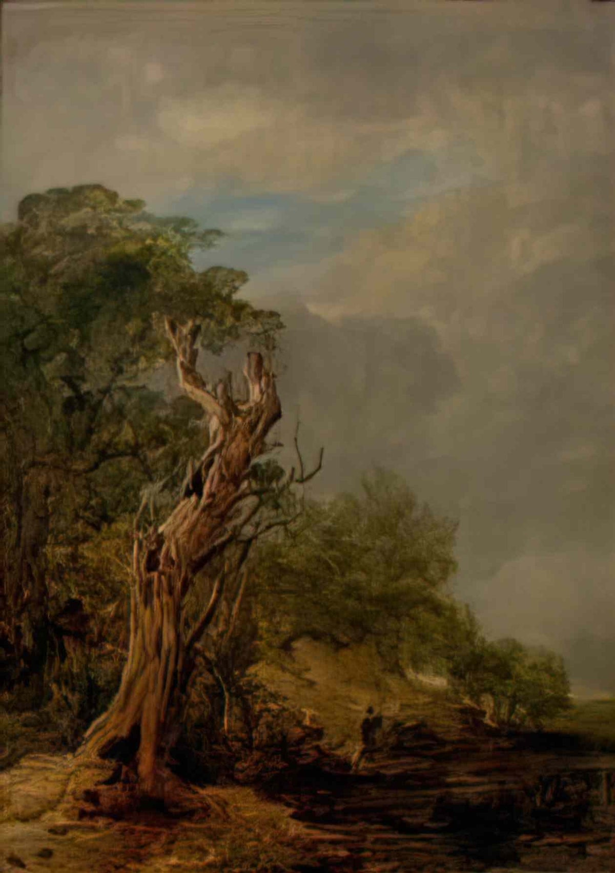 William Collins the withered tree Art A4 Photo Print
