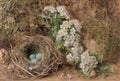 William Henry Hunt william henry hunt may blossom and a hedge sparrow Art A4 Photo Print