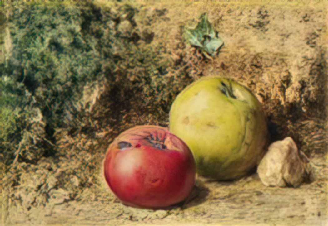 William Henry Hunt william henry hunt the contrast red and green appl Art A4 Photo Print