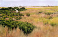 William Merritt Chase landscape near coney island Art A4 Photo Print