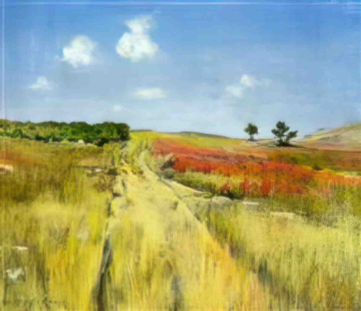 William Merritt Chase shinnecock hills 02 Art A4 Photo Print