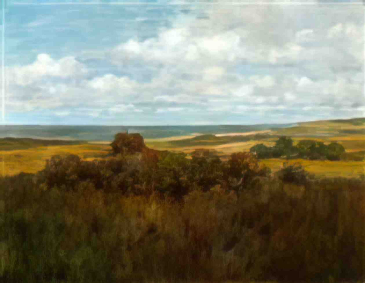 William Merritt Chase shinnecock landscape 04 Art A4 Photo Print