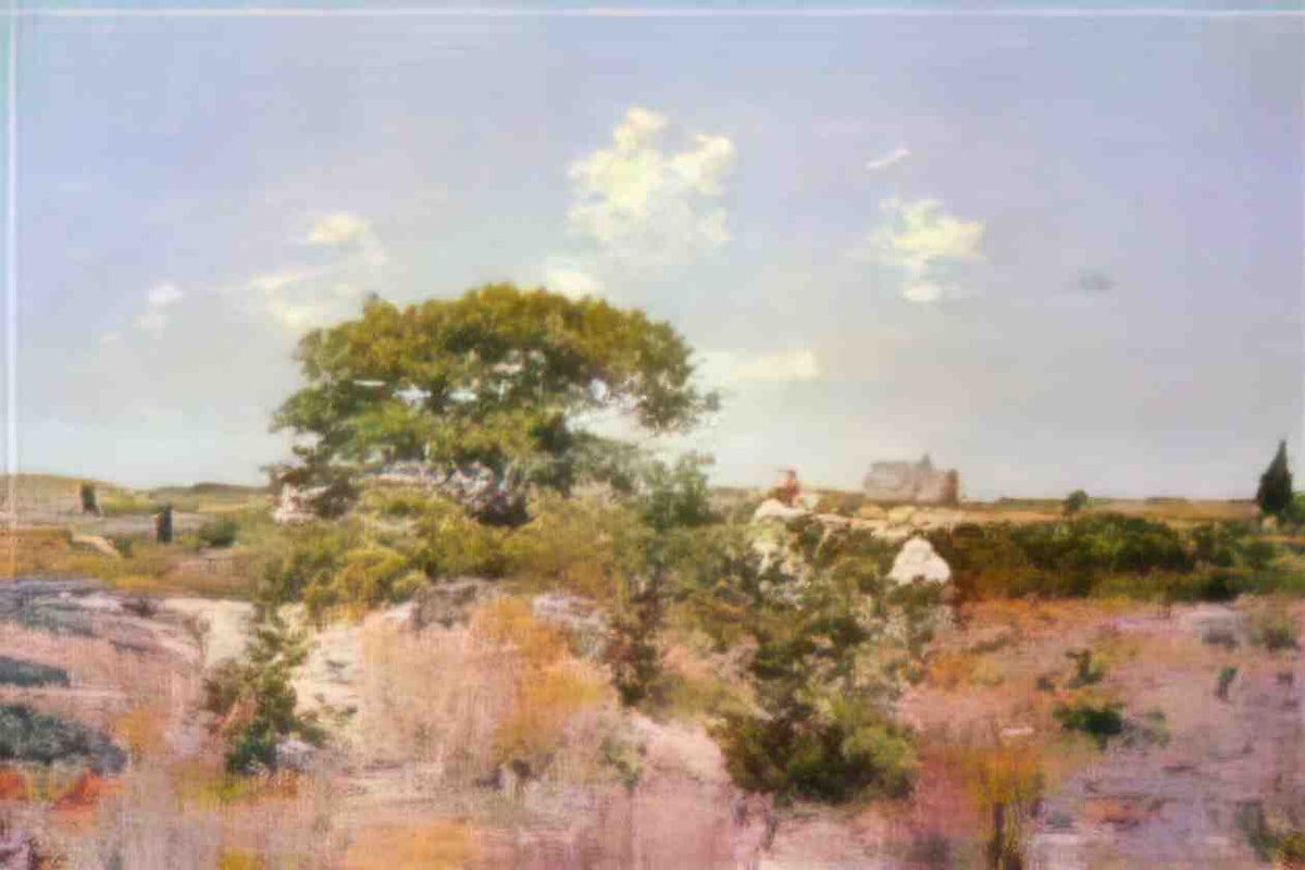 William Merritt Chase shinnecock landscape Art A4 Photo Print