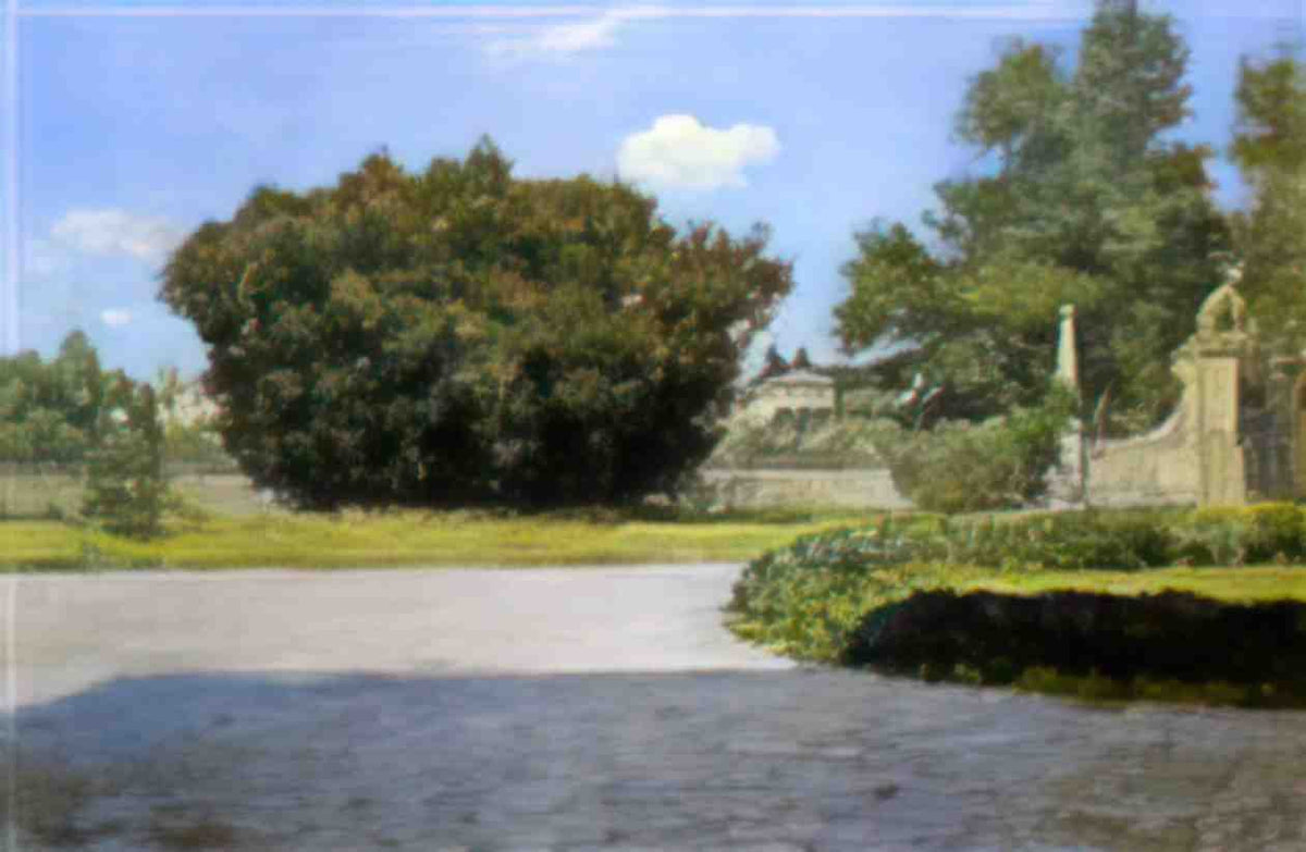 William Merritt Chase the big oleander Art A4 Photo Print