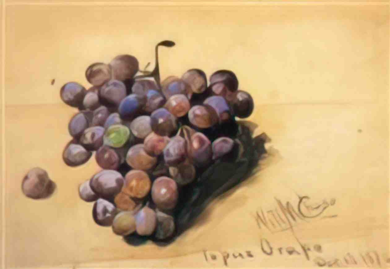 William Merritt Chase topaz grapes Art A4 Photo Print