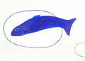 William Scott fish still life blue 1982 Art A4 Photo Print
