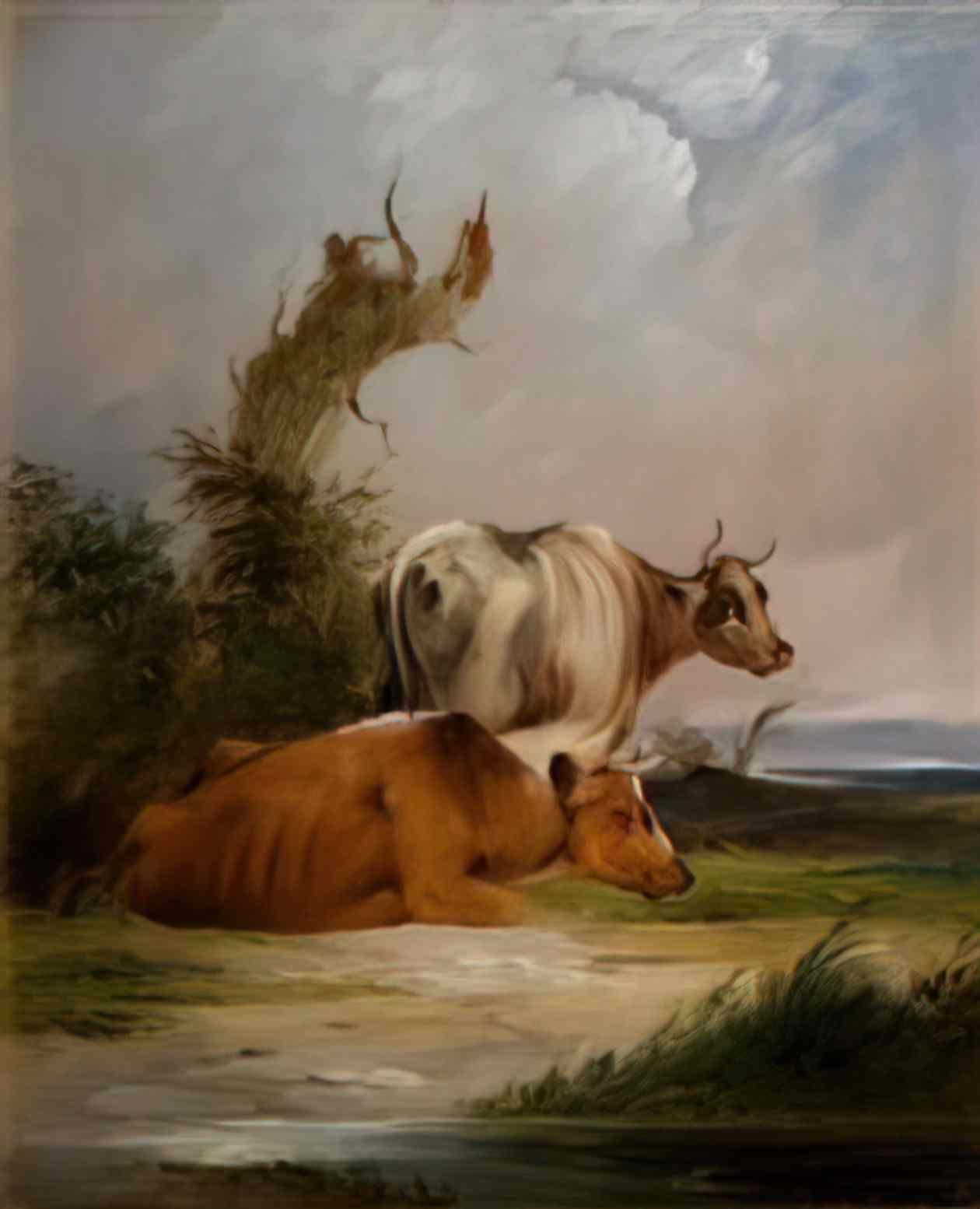 William Shayer cows white cow standing Art A4 Photo Print