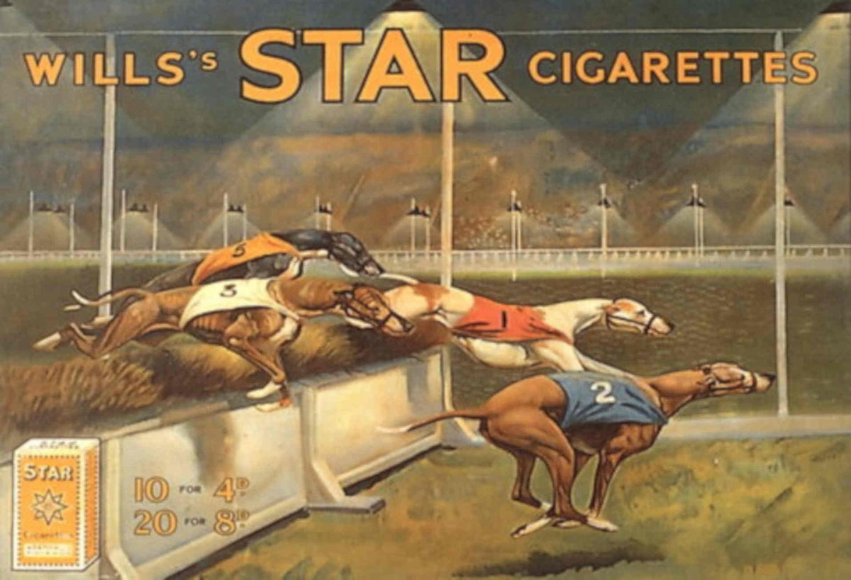 Wills Star Greyhounds 1930s Vintage Retro Advert Poster