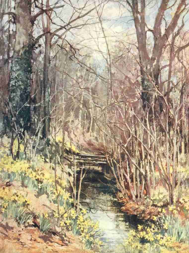 Wilson Mary GW 1856 1939 Scottish Gardens 1908 Monreith A4 Photo Print