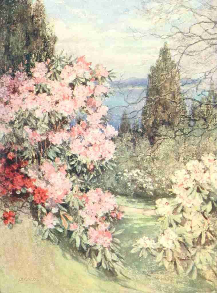 Wilson Mary GW 1856 1939 Scottish Gardens 1908 Stonefield A4 Photo Print