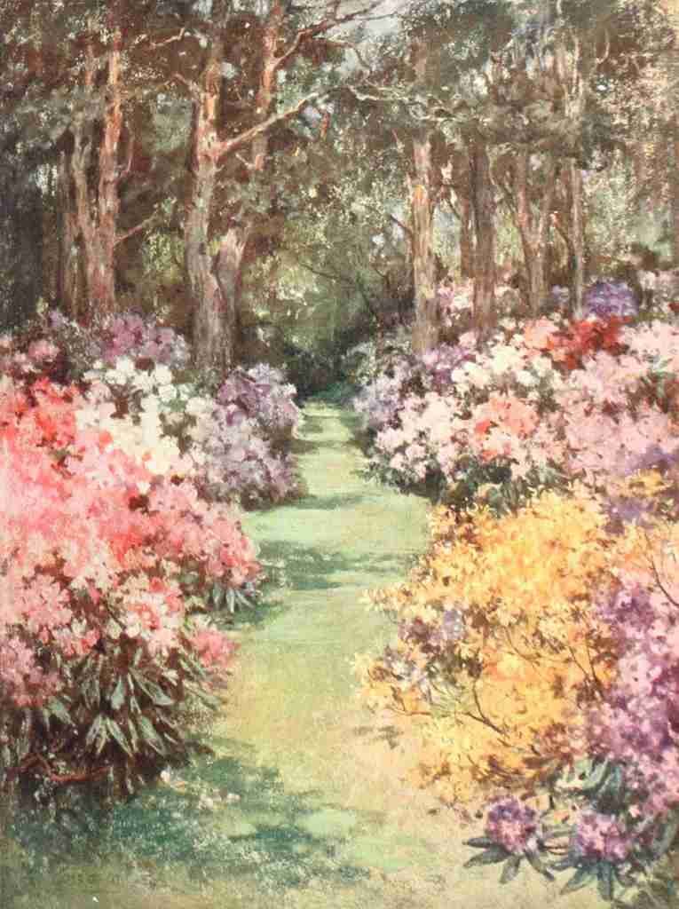 Wilson Mary GW 1856 1939 Scottish Gardens 1908 The Hirsel Vintage A4 Photo Print