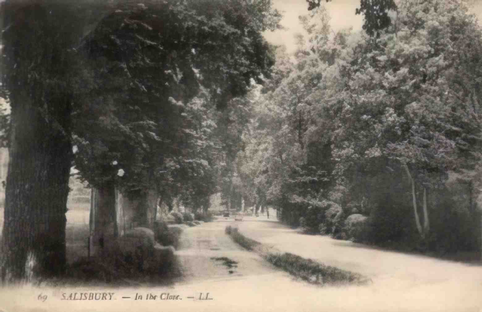 Wiltshire Salisbury In the Close Vintage A4 Photo Print