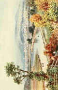 Wimbush Henry Bowser 1858 1943 North Devon 1906 Barnstaple from the river Vintage A4 Photo Print