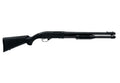 Winchester Model 1300 A4 Photo Print