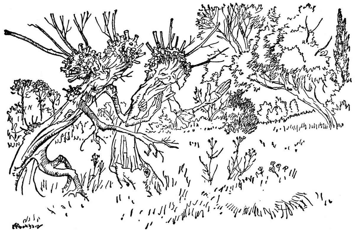 Wind in the Willows Arthur Rackham LIKE SUMMER TEMPESTS A4 Photo Print