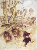 Wind in the Willows Arthur Rackham Onion sauce! Onion sauce! He remarked jeeringly, and was gone before they could think of a reply A4 Photo Print
