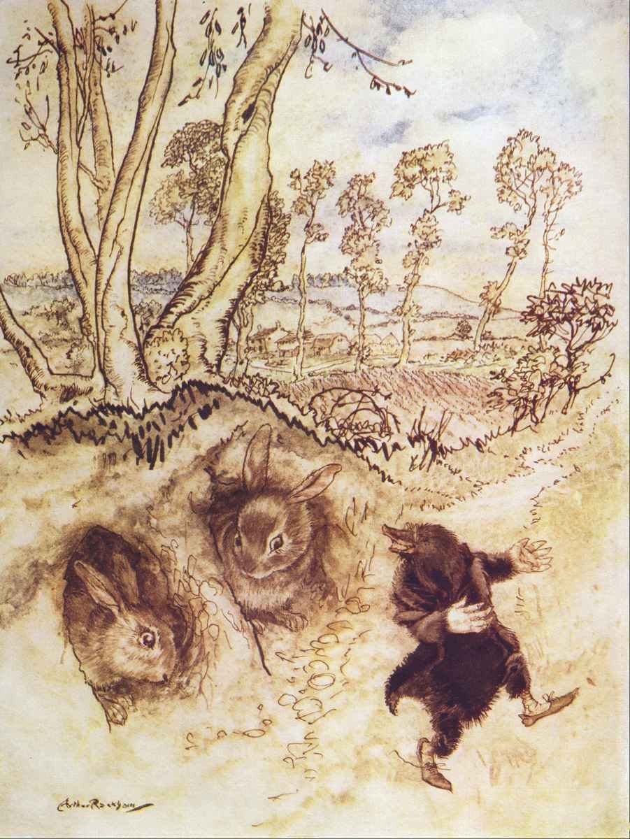 Wind in the Willows Arthur Rackham Onion sauce! Onion sauce! He remarked jeeringly, and was gone before they could think of a reply A4 Photo Print
