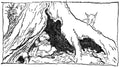 Wind in the Willows Arthur Rackham THE FURTHER ADVENTURES OF TOAD A4 Photo Print