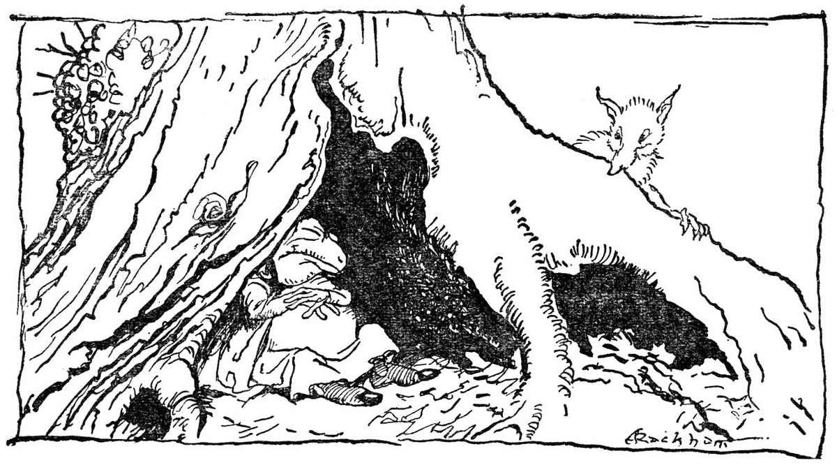 Wind in the Willows Arthur Rackham THE FURTHER ADVENTURES OF TOAD A4 Photo Print