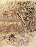 Wind in the Willows Arthur Rackham The Mole begged as a favour to be allowed to unpack it all by himself A4 Photo Print
