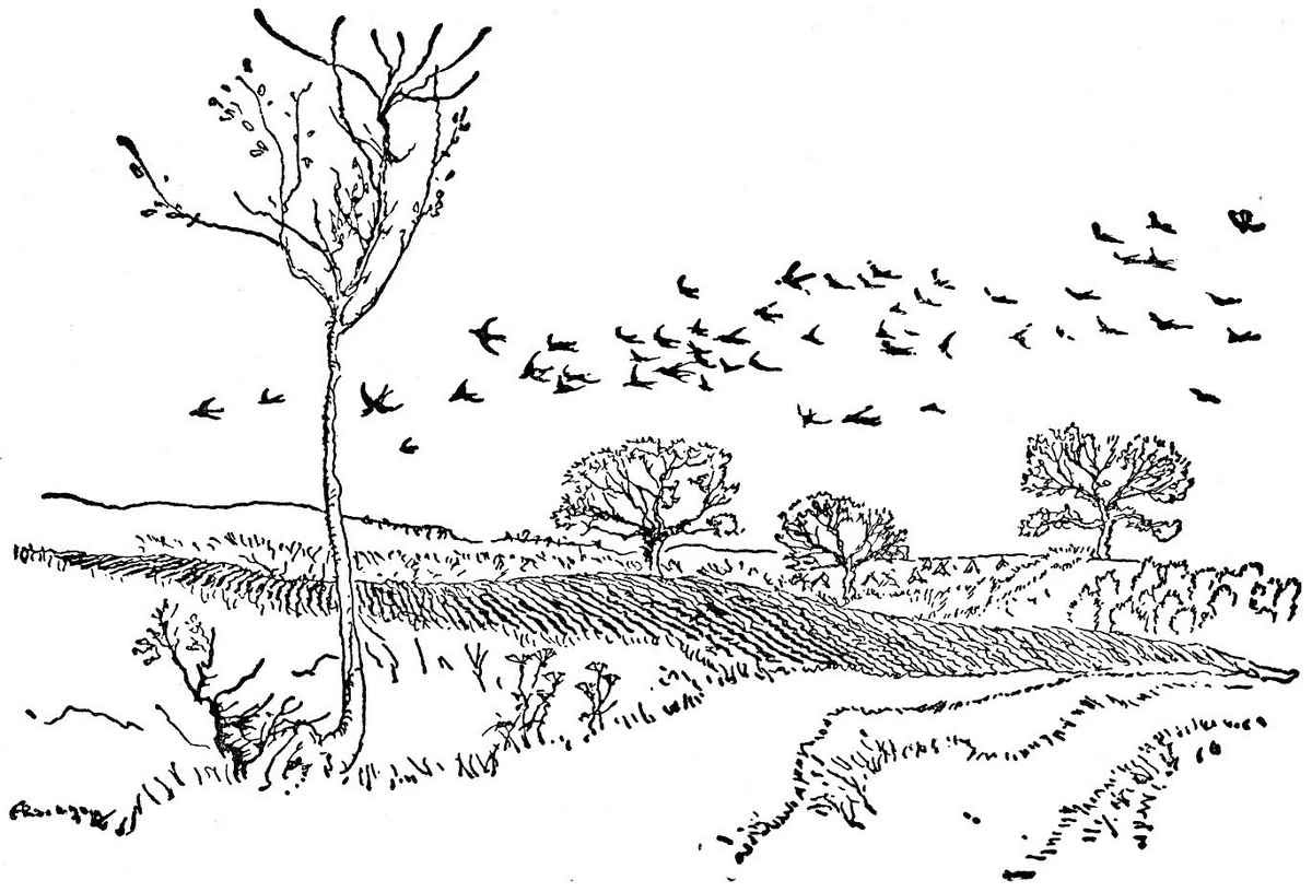 Wind in the Willows Arthur Rackham WAYFARERS ALLjpg A4 Photo Print