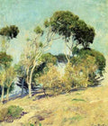 Windswept Trees Laguna A4 Photo Print